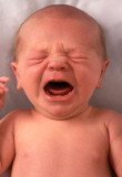 The sound of a crying baby is almost impossible to ignore, no matter how hard you try