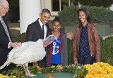Barack Obama chooses Cobbler over Gobbler as National Thanksgiving Turkey