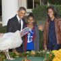 Thanksgiving Decision 2012: Barack Obama chooses Cobbler over Gobbler as National Thanksgiving Turkey