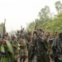 M23 rebels capture Goma city in DR Congo