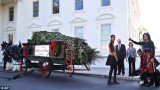 First Lady Michelle Obama has kicked off the holiday season by welcoming the White House Christmas Tree to her home