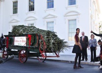 First Lady Michelle Obama has kicked off the holiday season by welcoming the White House Christmas Tree to her home