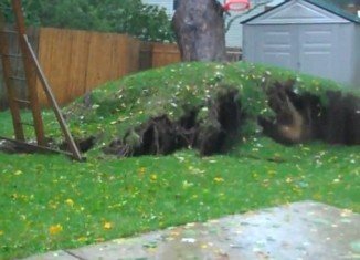 Residents on Long Island, New York, felt the wrath of Superstorm Sandy after it uprooted their massive oak tree, sending it crashing into a neighbors’ garden