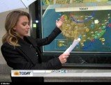 Scarlett Johansson read the weather on the Today show on Tuesday after filling in for Al Roker, who was suffering from laryngitis