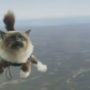 Skydiving Cats: Folksam commercial goes viral on YouTube