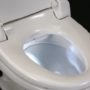 Toilet seat is not the dirtiest place in your home. Check your kitchen.