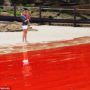 Nocturnal Scintillans: Bondi Beach “Red Sea” as rare algae bloom turns water the color of blood
