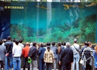 A 33-ton glass shark tank at the Shanghai Orient shopping centre suddenly burst leaving 15 people injured by flying shards of broken glass and a torrent of water
