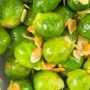 Brussels sprouts overdose: man hospitalized after eating too many sprouts last Christmas