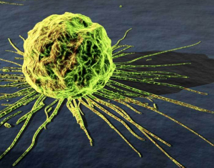 British researchers have found that an experimental Trojan-horse cancer therapy has completely eliminated prostate cancer in experiments on mice