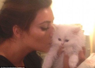 Kim Kardashian received the white Persian kitty from her rapper boyfriend Kanye West last September, but was unable to care for it herself after discovering she was allergic