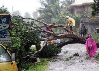 More than 40,000 people have been moved into shelter as powerful Typhoon Bopha hits Mindanao island, southern Philippines