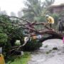 Typhoon Bopha hits Philippines Mindanao island