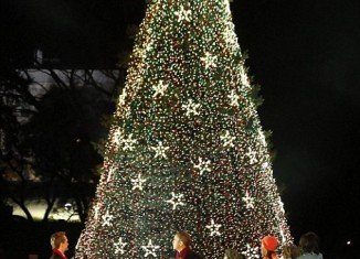 President Barack Obama and his family have flipped the switch for the 90th annual lighting of the National Christmas Tree