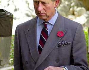 Prince Charles said he was thrilled at Kate Middleton's pregnancy