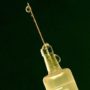 4CMenB: Meningitis B vaccine gets European licence