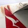 Scrub python clings to Qantas plane’s wing during flight