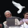 Seagull attacks Pope’s dove released on Holocaust Day