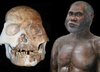 Analysis of the Red Deer Cave fossils' DNA showed that they were related to the ancestors of present-day Asians and Native Americans