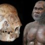 Red Deer Cave people related to modern Asians
