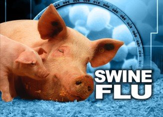 At least one in five people, including half of schoolchildren, were infected with swine flu during the first year of the pandemic in 2009, according to data from 19 countries