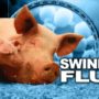 Swine flu infected one in five people during first year of pandemic in 2009