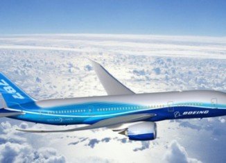Boeing has decided to suspend deliveries of its new 787 Dreamliner jet until a battery problem is resolved