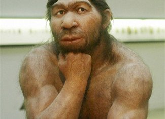 Contrary to popular belief, Neanderthals were in fact a highly intelligent race and Professor George Church believes they could be recreated through modern medicine