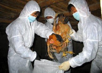 Controversial research into making bird flu easier to spread in people is to resume after a year-long pause