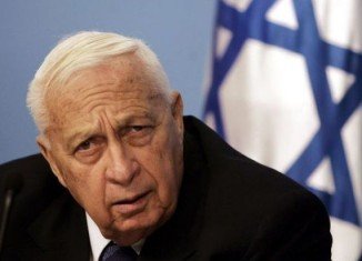 Former Israeli PM Ariel Sharon, who has been in a coma for seven years, has shown significant signs of brain activity