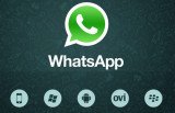whatsapp installation has failed