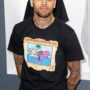 Chris Brown home stormed by police after prank call over a domestic incident
