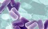 CDC is warning doctors to be on the lookout for untreatable multidrug-resistant CRE superbug emerging in the US