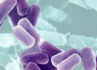 CDC is warning doctors to be on the lookout for untreatable multidrug-resistant CRE superbug emerging in the US