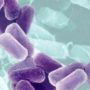 CRE superbug outbreak put US health officials in high alert
