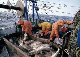 European Union fisheries ministers have agreed to phase out the controversial practice of dumping unwanted fish