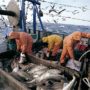 EU ministers agree to end the controversial practice of dumping unwanted fish