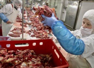 Germany's development minister has suggested food tainted with horsemeat should be distributed to the poor
