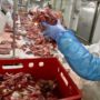 Horsemeat found in products packaged by Italian group Primia