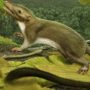Earliest mammal ancestor reconstructed