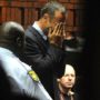 Oscar Pistorius denies murder of Reeva Steenkamp