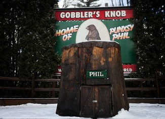 Pennsylvania's famous groundhog Punxsutawney Phil gave his annual prediction of how long winter will last