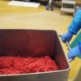 Romanian abattoirs not to blame in horsemeat scandal, says PM Victor Ponta