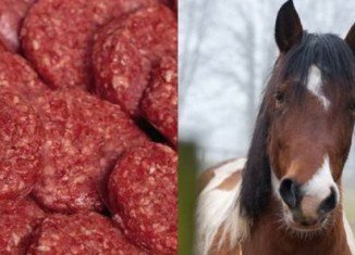 The EU has outlined an "intensive monitoring plan" to tackle the widening scandal over mislabeled horsemeat