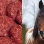 Horsemeat scandal: European Commission recommends 3 months of EU-wide testing of beef