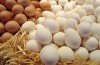 German authorities in the northern state of Lower Saxony are investigating allegations of fraud over the mislabelling of eggs as organic