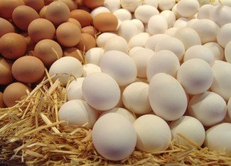 German authorities in the northern state of Lower Saxony are investigating allegations of fraud over the mislabelling of eggs as organic