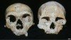 A new study of Neanderthal skulls suggests that they became extinct because they had larger eyes than our species