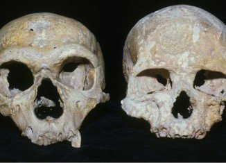 A new study of Neanderthal skulls suggests that they became extinct because they had larger eyes than our species