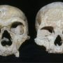Neanderthal skulls study suggests they became extinct because they had larger eyes than our species